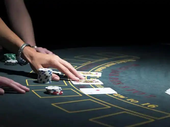 488 win bet 488 win bet
